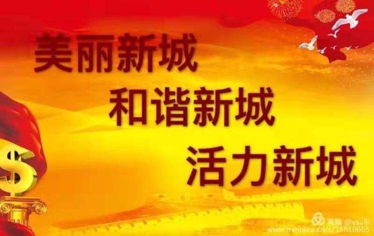 【聚焦问题促整改 组合发力助攻坚】新城镇召开2018年国家脱贫成效考核反馈问题整改工作推进会